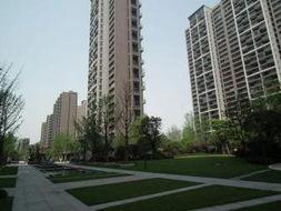 杭州东方郡爆料最新消息,揭秘神秘项目背后的真相  第3张